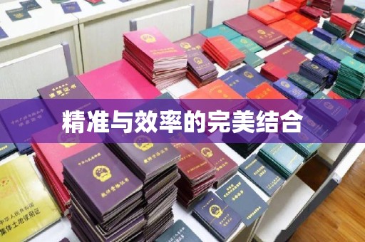 靖安精准与效率的完美结合